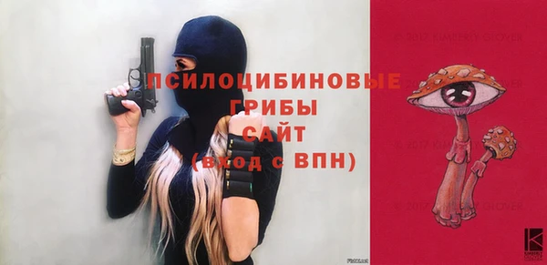 бошки Вязьма